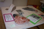 Geologie 2